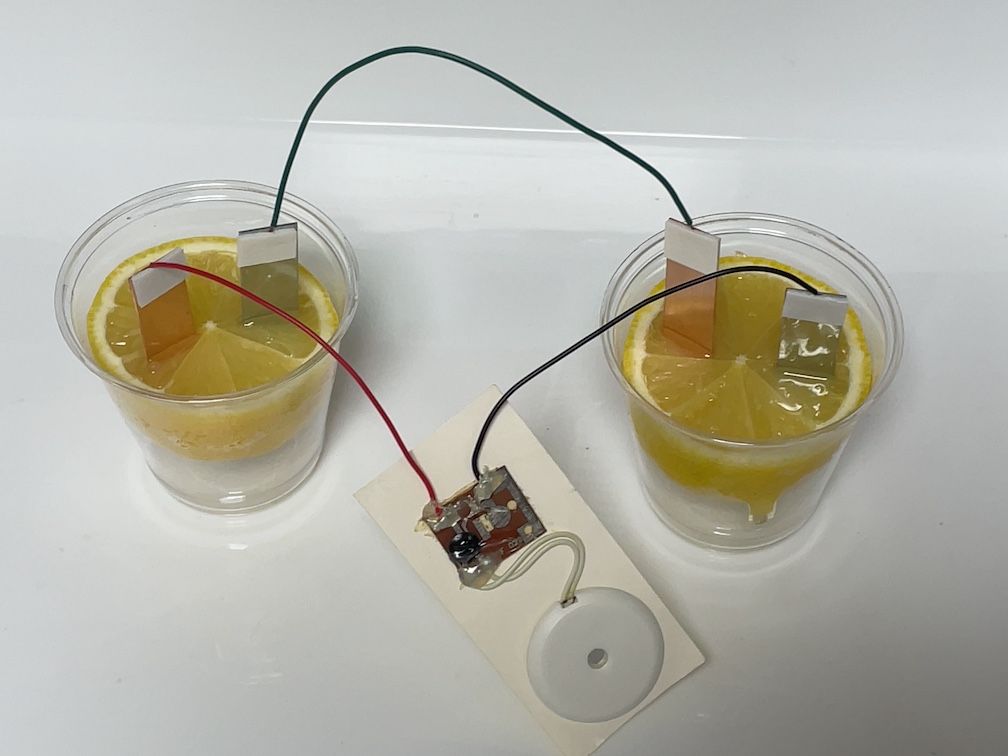 レモンと金属板を使った電池実験