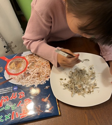 ちりめんモンスターを探そう1